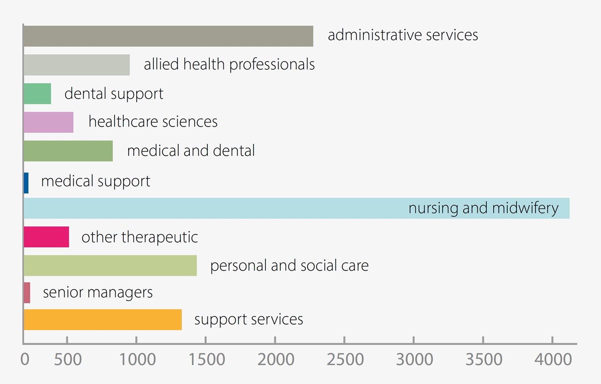 Approximate numbers of people working in each area: administrative services 2300; allied health professionals 900; dental support 300; healthcare sciences 500; medical and dental 800; medical support 50; nursing and midwifery 4200; other therapeutic 500; personal and social care 1500; senior managers 100; support services 1300.