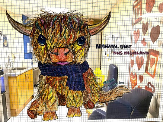 Raigmore Hospital Neonatal Unit (4)