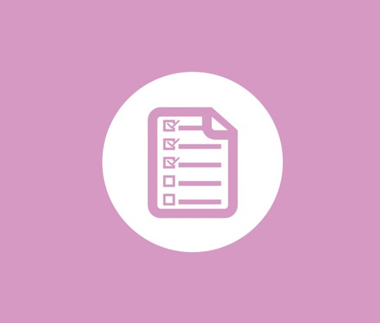 Governance Checklist Icon