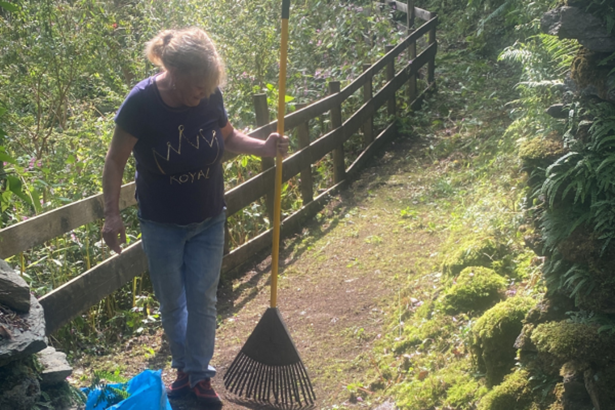 Roots Of Recovery The Dunoon And Bute Forest Based Wellbeing Programme 4