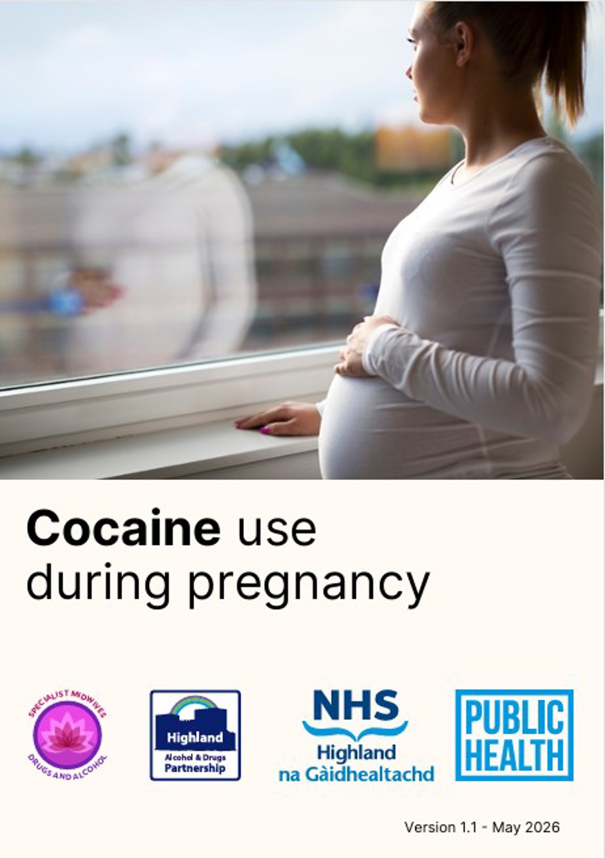 Cocaine Use During Pregnancy Cover Image