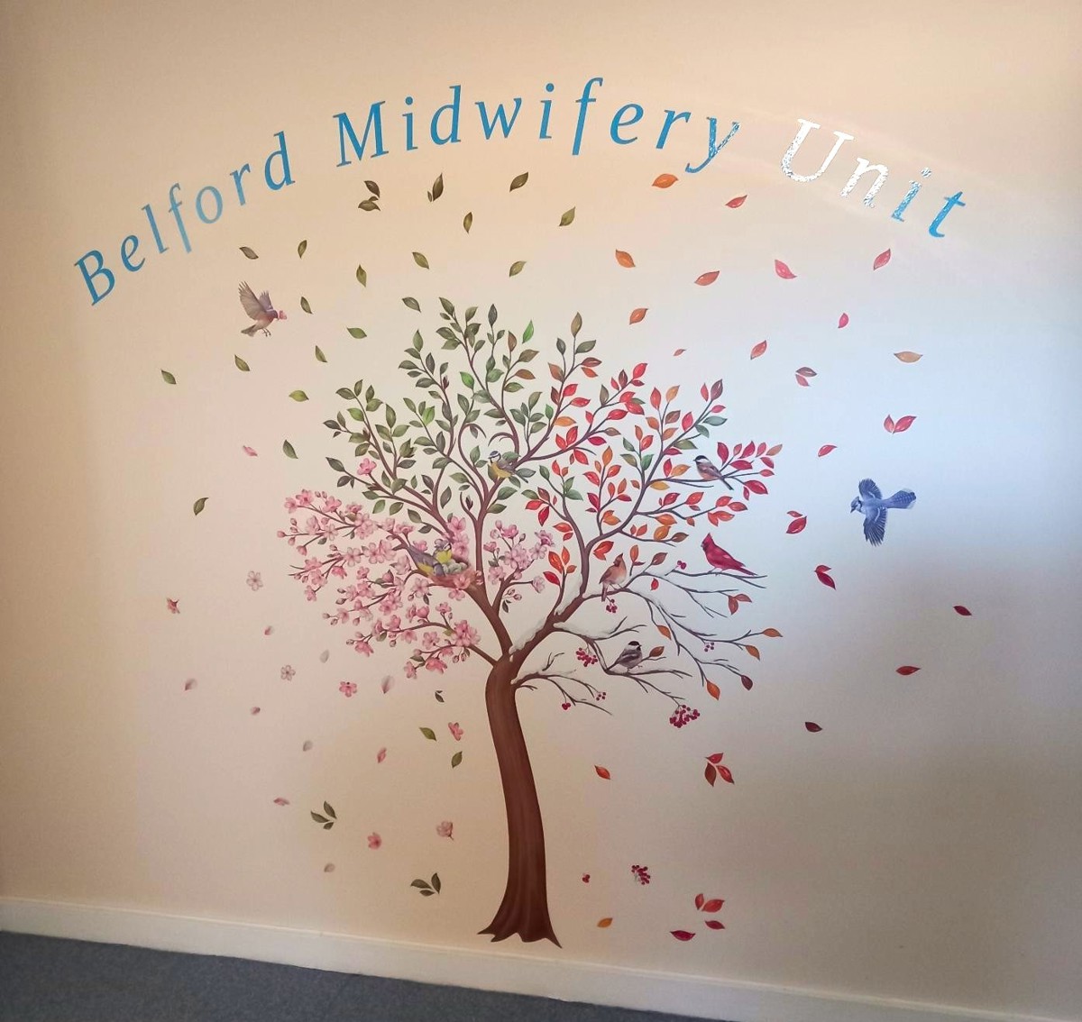 Belford Hospital Community Midwifery Unit Mural