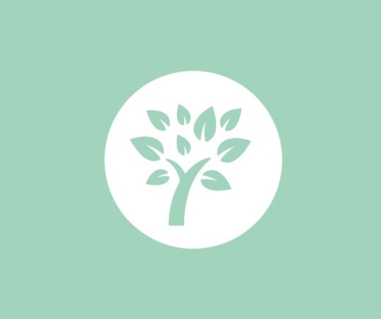 Climate Change And Environment Tree Icon