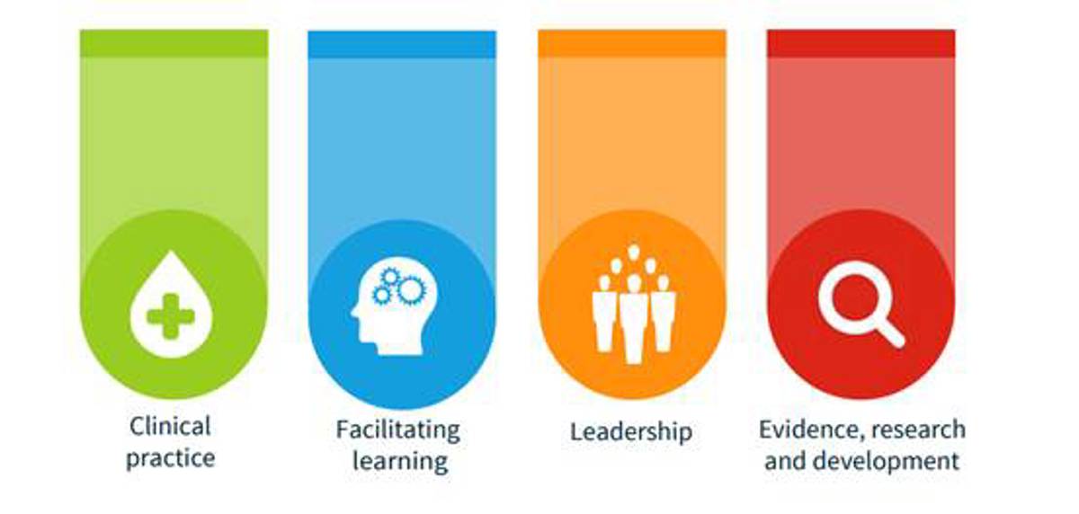 Clinical practice; Facilitating learning; Leadership; Evidence, research and development
