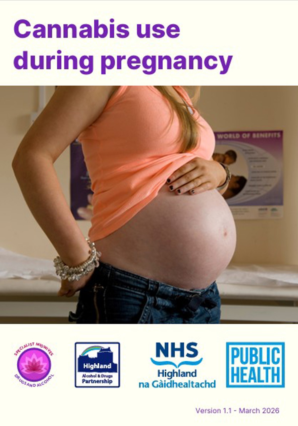 Cannabis Use During Pregnancy Cover Image