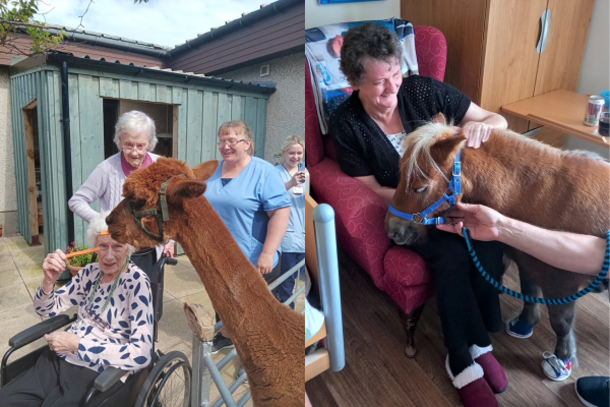 Bringing Joy And Connection To Pulteney House 3