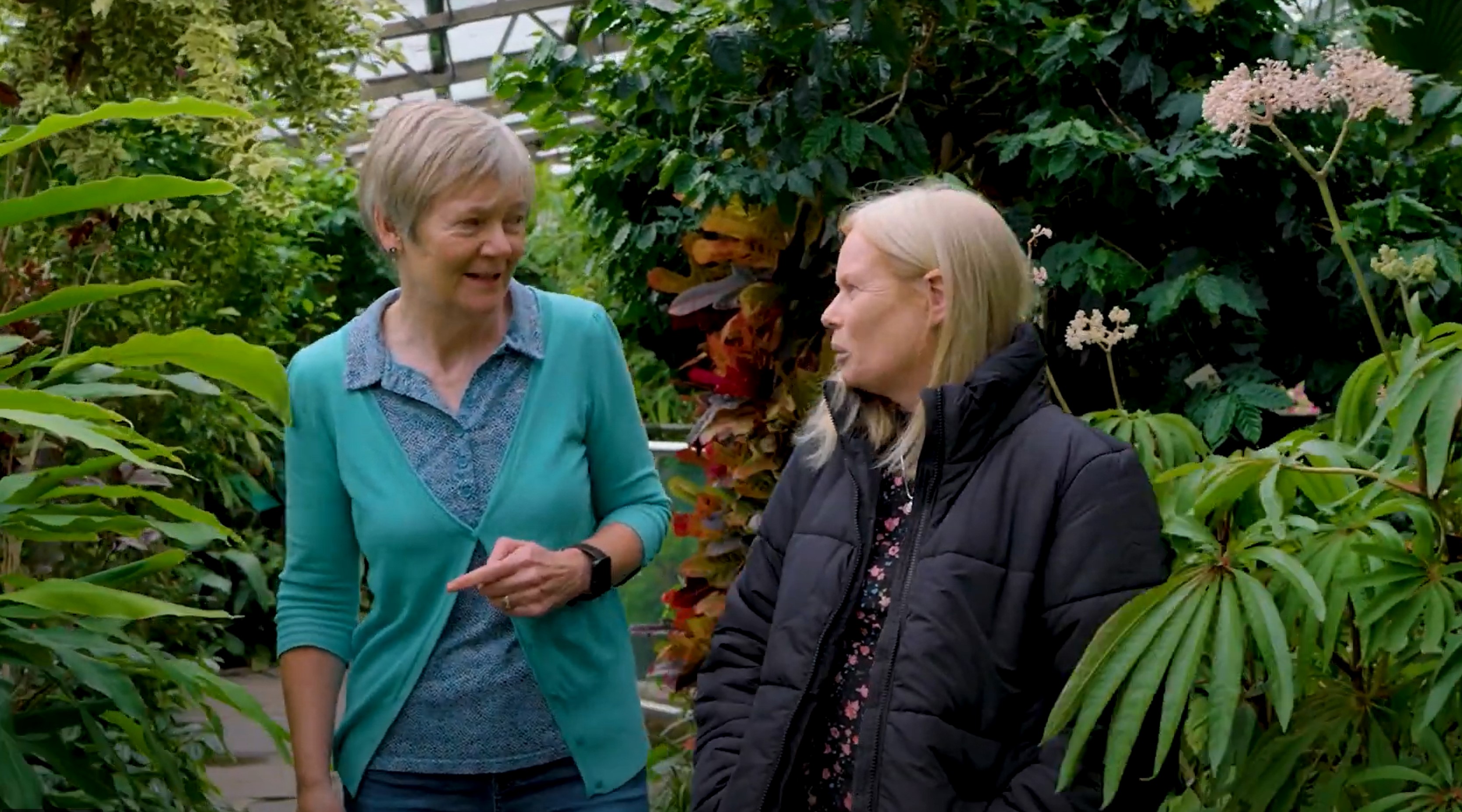 social prescribing - a community link worker talking to a patient